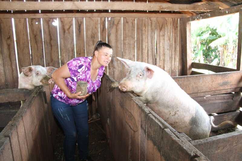 Mujer rural y cerdito