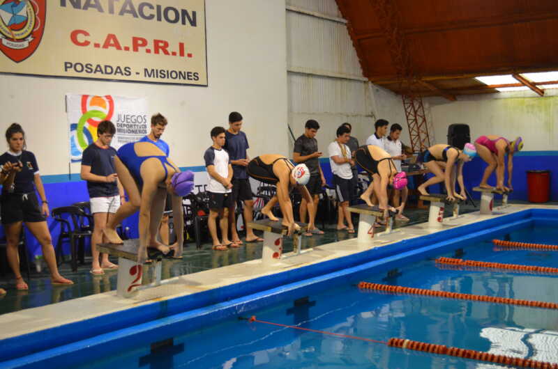 Natacion 2017