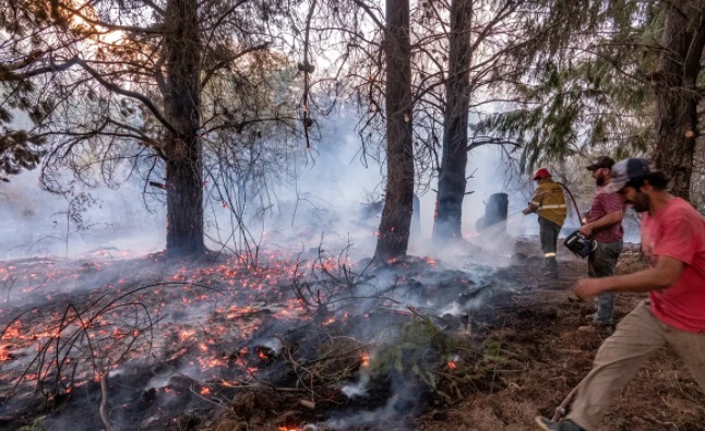 Impactantes imágenes de los incendios en la Patagonia 5 OKJHGT