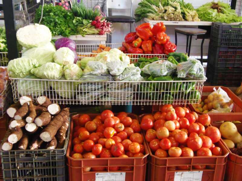 El Mercado Concentrador de Posadas lanzó nuevas ofertas 1 P5290010
