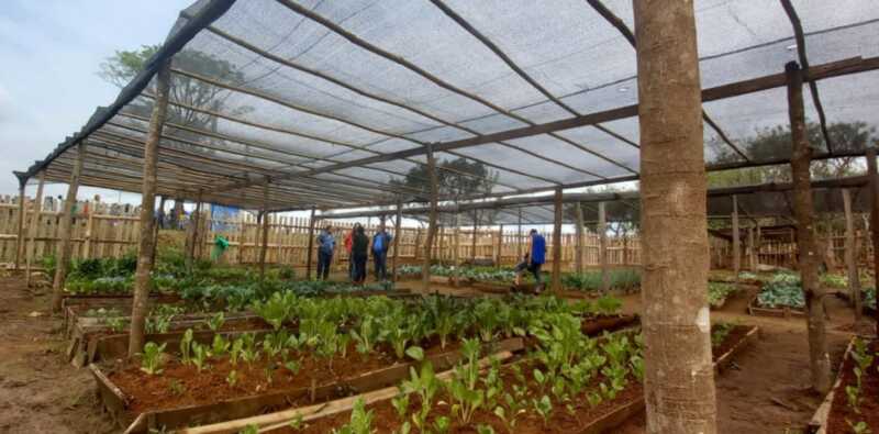 Beneplácito de Diputados por recuperación de derechos para 60 mil productores misioneros 1 Pequenas productoras beneficiadas con el monotributo social agropecuario5