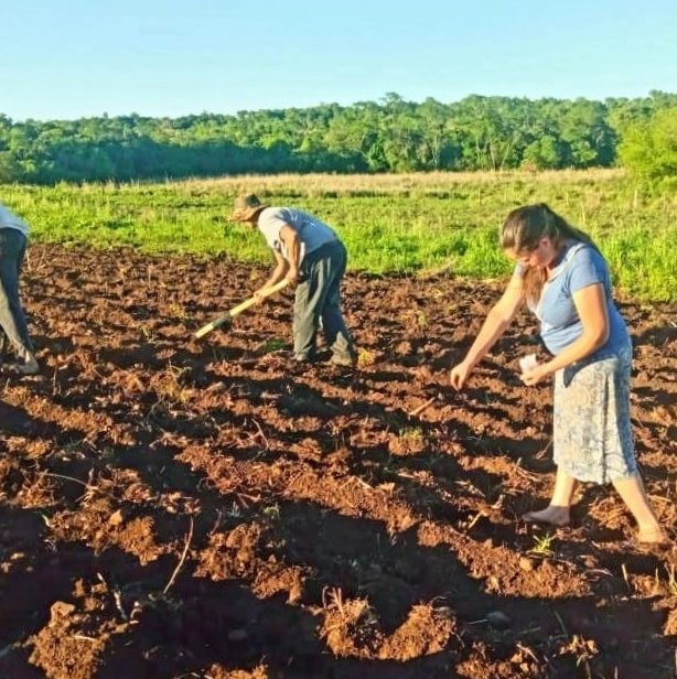 Beneplácito de Diputados por recuperación de derechos para 60 mil productores misioneros 3 Pequenas productoras beneficiadas con el monotributo social agropecuario8