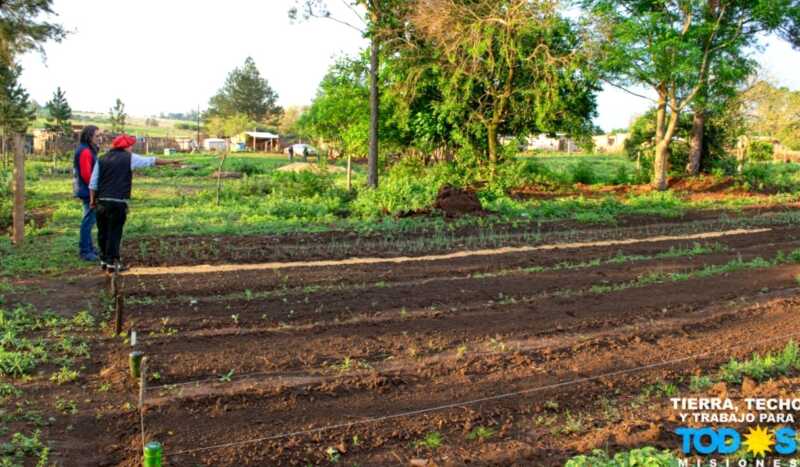 Beneplácito de Diputados por recuperación de derechos para 60 mil productores misioneros 4 Pequenos productores beneficiados con el monotributo social agropecuario2