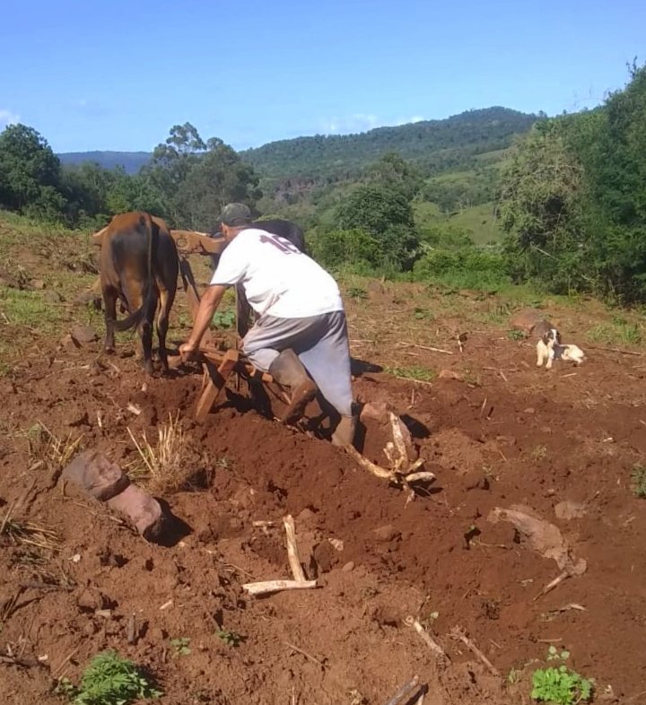 Pequenos productores beneficiados con el monotributo social agropecuario6