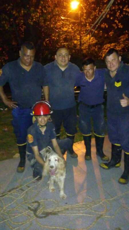 Prensa 1 3