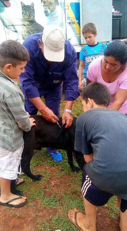 El Imusa realizó castraciones en el barrio Yacyretá 1 Quirofano movil 1