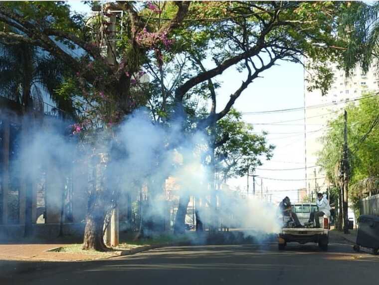 Dengue: durante el primer trimestre realizaron controles en más de 60 mil hogares 1 Screenshot 20200328 072908