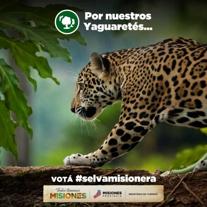 SelvaMisionera1 2
