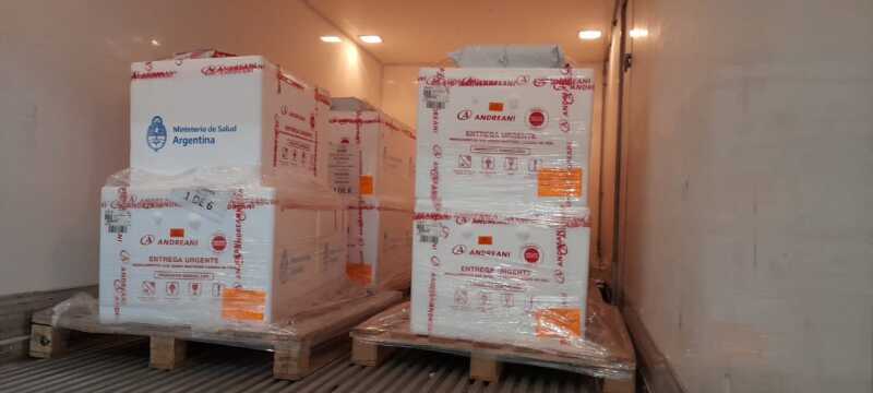 Sputnik V 1 componente