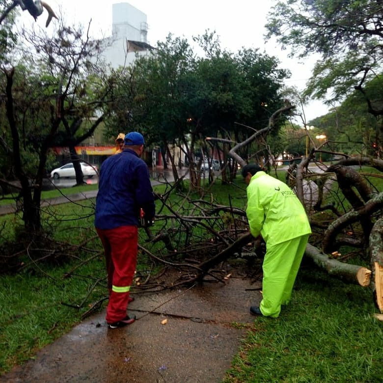 Tormenta 5 1