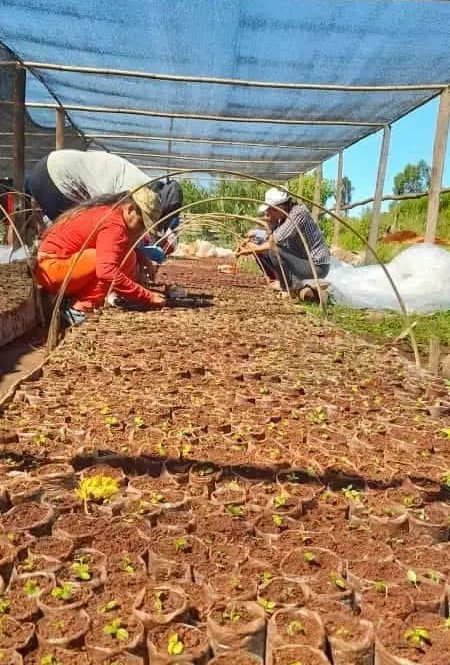 Trabajadores de la Cooperativa Agricola de Azara que logro permiso de ocupacion