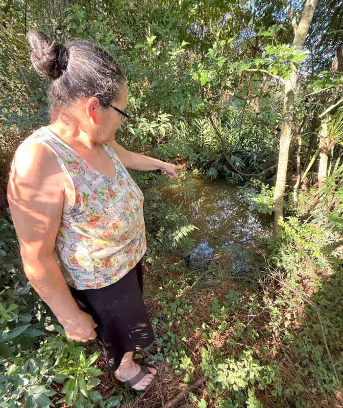 Roca Chica: 13 familias agricultoras sin agua potable y adultos mayores, los más afectados 2 Un arroyo pasa cerca de las chacras pero el agua es insalubre