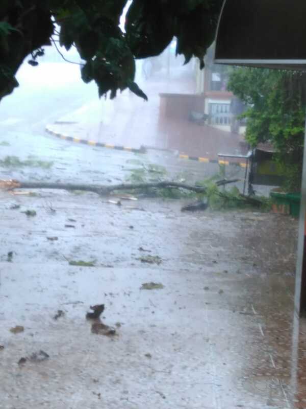 Temporal: Oberá, Alem y Posadas, los más afectados 1 WhatsApp Image 2018 11 13 at 17.00.36