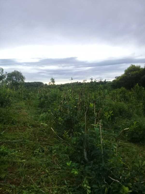 WhatsApp Image 2019 01 09 at 07.57.06