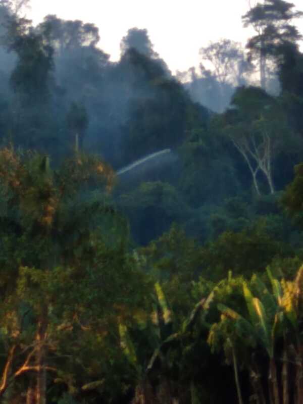 WhatsApp Image 2020 11 24 at 20.54.50 1