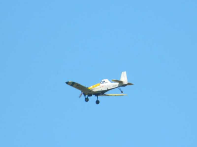 WhatsApp Image 2020 11 24 at 20.54.52 1