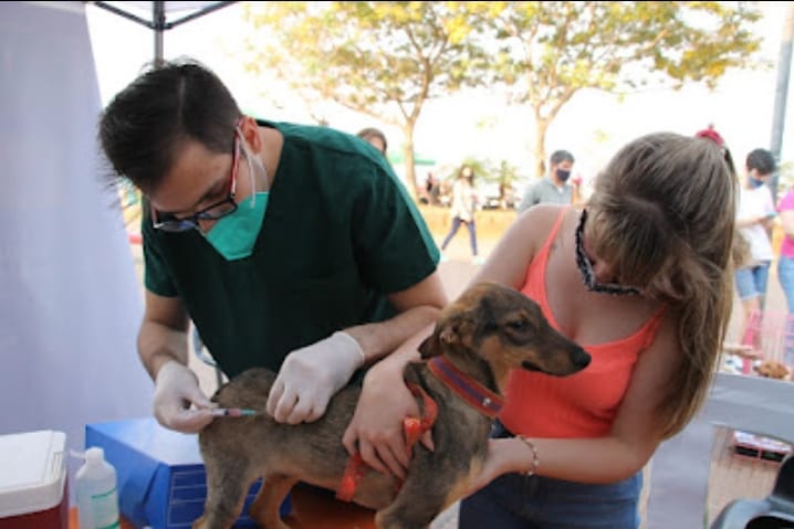 Adopción responsable en Posadas: 20 mascotas encontraron una nueva familia 5 WhatsApp Image 2021 08 22 at 21.43.12