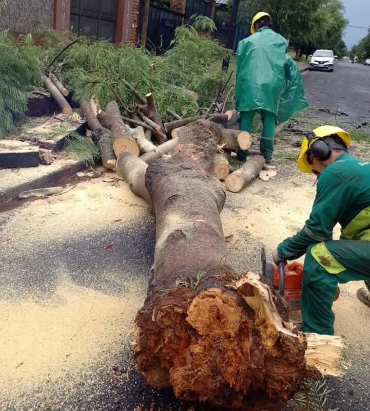 WhatsApp Image 2021 11 25 at 18.12.52