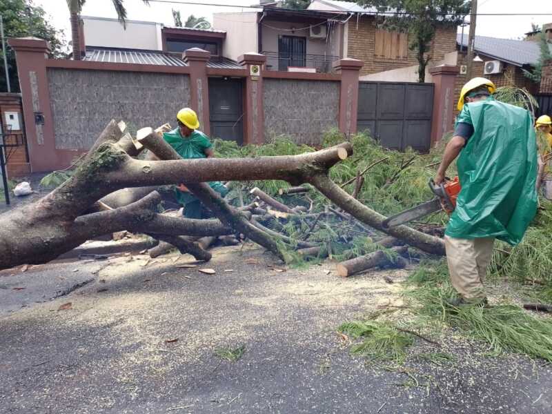 WhatsApp Image 2021 11 25 at 18.12.57