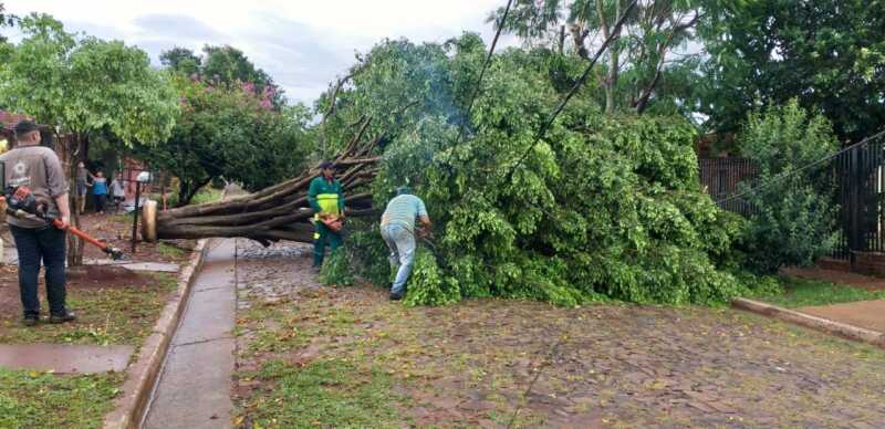 WhatsApp Image 2021 11 25 at 18.13.10