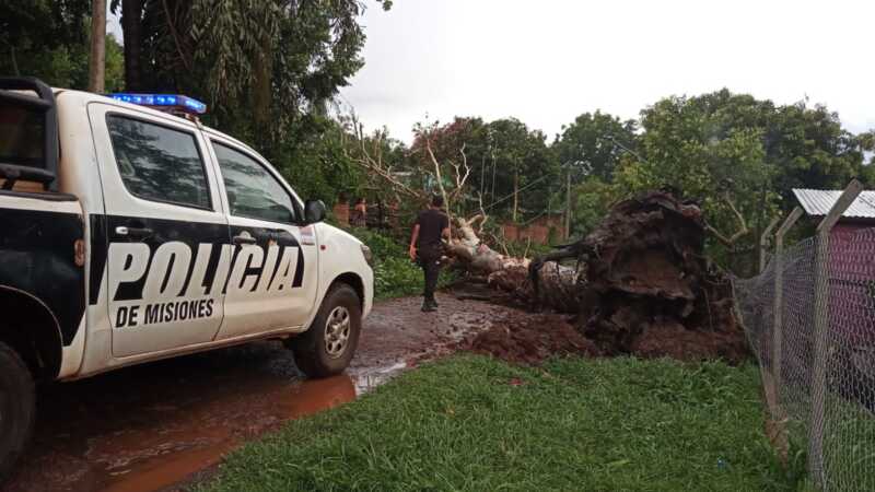 WhatsApp Image 2021 11 25 at 20.53.15