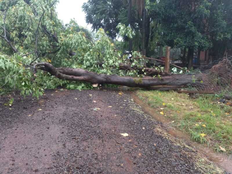 WhatsApp Image 2021 11 25 at 20.53.20