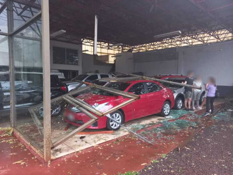 WhatsApp Image 2021 11 25 at 20.53.21