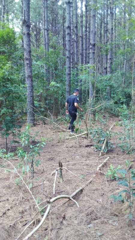 WhatsApp Image 2022 03 13 at 17.25.53