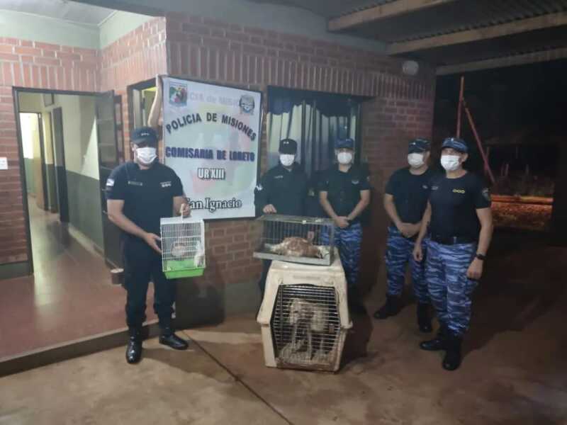 WhatsApp Image 2022 03 16 at 10.35.19