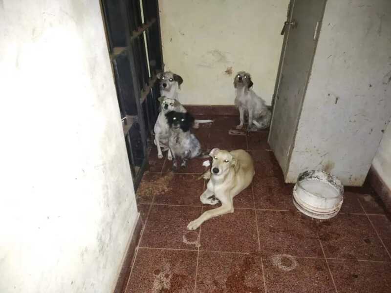 WhatsApp Image 2022 03 16 at 10.35.26