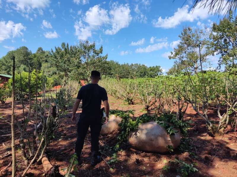 WhatsApp Image 2022 03 21 at 20.12.02 1