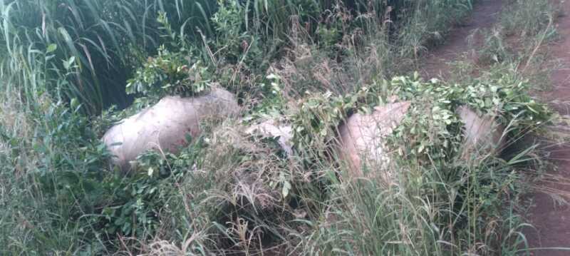 WhatsApp Image 2022 05 05 at 8.17.47 PM