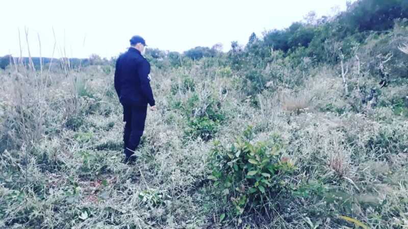 WhatsApp Image 2022 05 17 at 8.17.04 PM 1