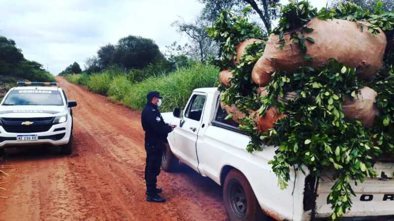 WhatsApp Image 2022 05 17 at 8.17.04 PM