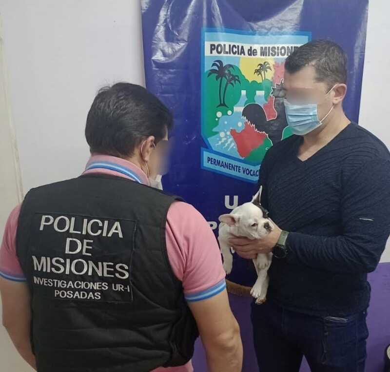 Posadas: investigadores detuvieron a un hombre captado por cámaras cuando robó un bulldog francés 1 WhatsApp Image 2022 06 25 at 7.57.12 PM