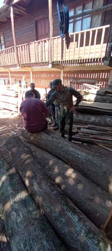 Secuestraron gran cantidad de madera nativa extraída y comercializada ilegalmente en Eldorado 1 WhatsApp Image 2022 11 11 at 19.43.57