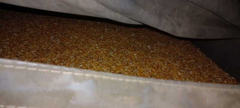 WhatsApp Image 2022 11 22 at 10.18.56