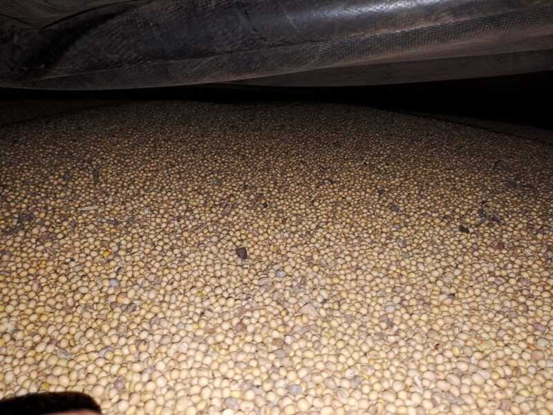 WhatsApp Image 2022 11 22 at 10.19.09