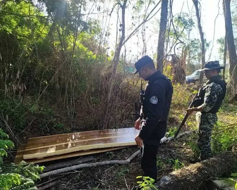 Desmantelaron un campamento de cazadores furtivos: hay dos detenidos y una camioneta secuestrada 1 WhatsApp Image 2022 11 24 at 12.15.55