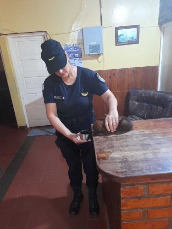 WhatsApp Image 2022 12 09 at 21.13.19