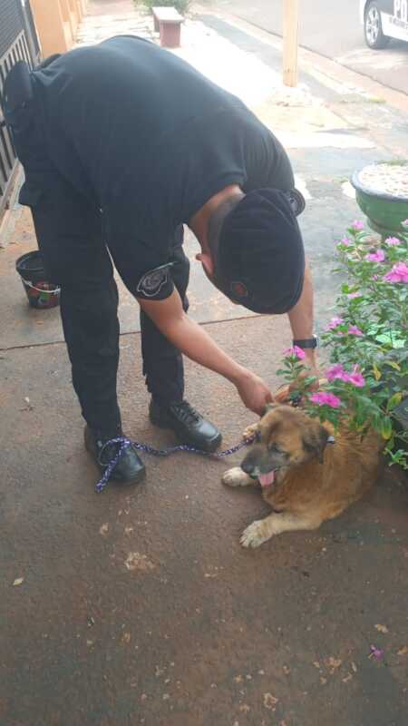 WhatsApp Image 2022 12 09 at 21.13.20 1