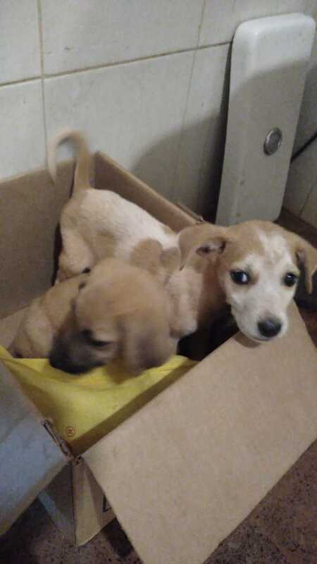 WhatsApp Image 2022 12 09 at 21.13.20