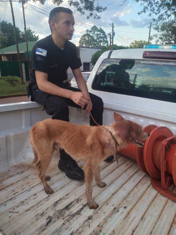 WhatsApp Image 2022 12 09 at 21.13.21