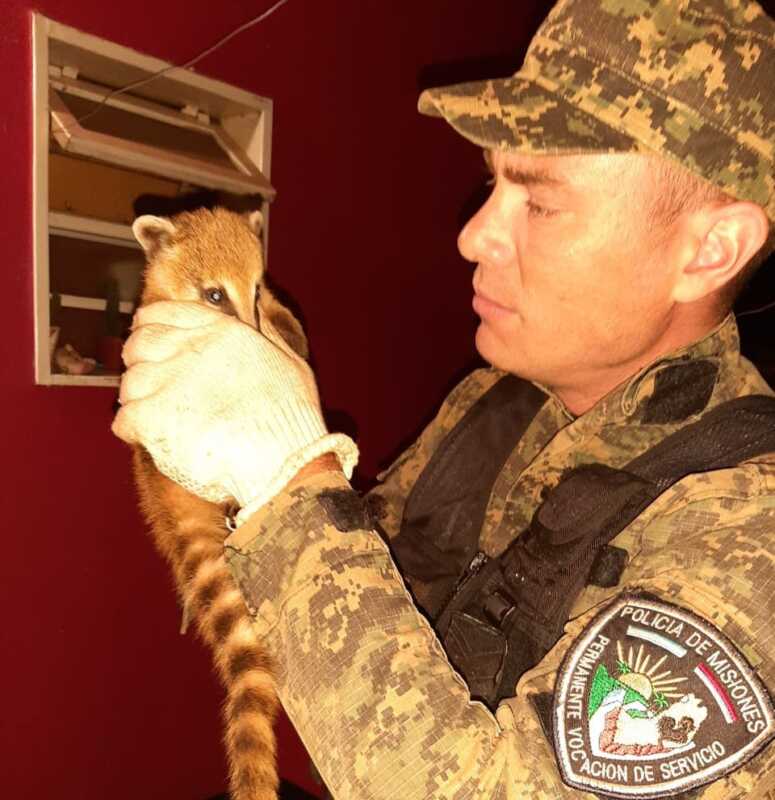 WhatsApp Image 2022 12 29 at 22.13.31