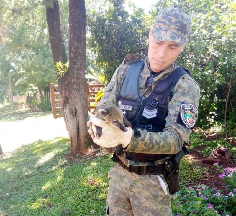 WhatsApp Image 2022 12 29 at 22.13.32