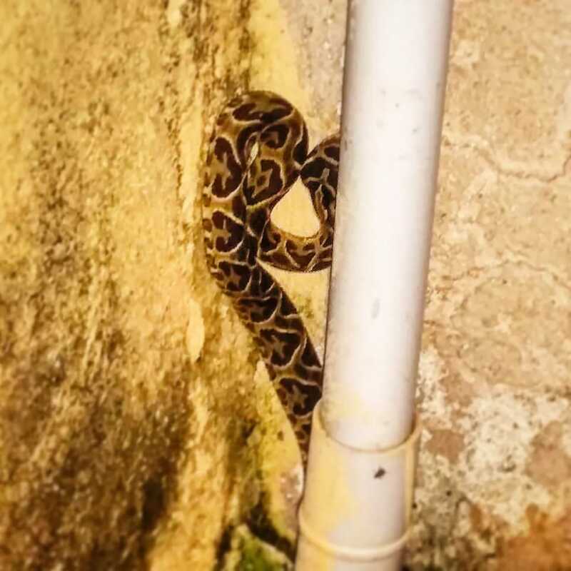 WhatsApp Image 2023 03 27 at 12.07.29