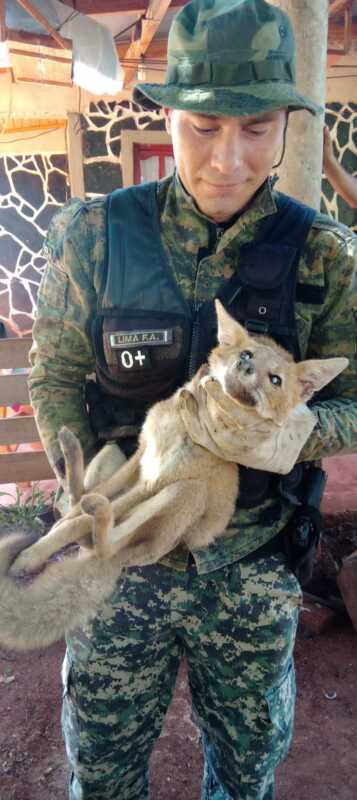 Rescataron animales silvestres en cautiverios y mascotas que se encontraban en peligro 3 WhatsApp Image 2023 04 28 at 21.30.40