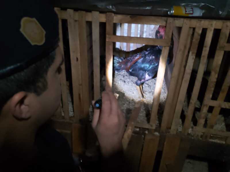 WhatsApp Image 2023 07 23 at 13.39.23