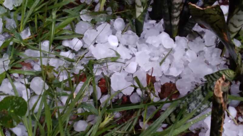 Temporal con granizo golpeó con fuerza en Posadas: la zona es oeste fue la más afectada 2 WhatsApp Image 2023 11 16 at 06.26.06