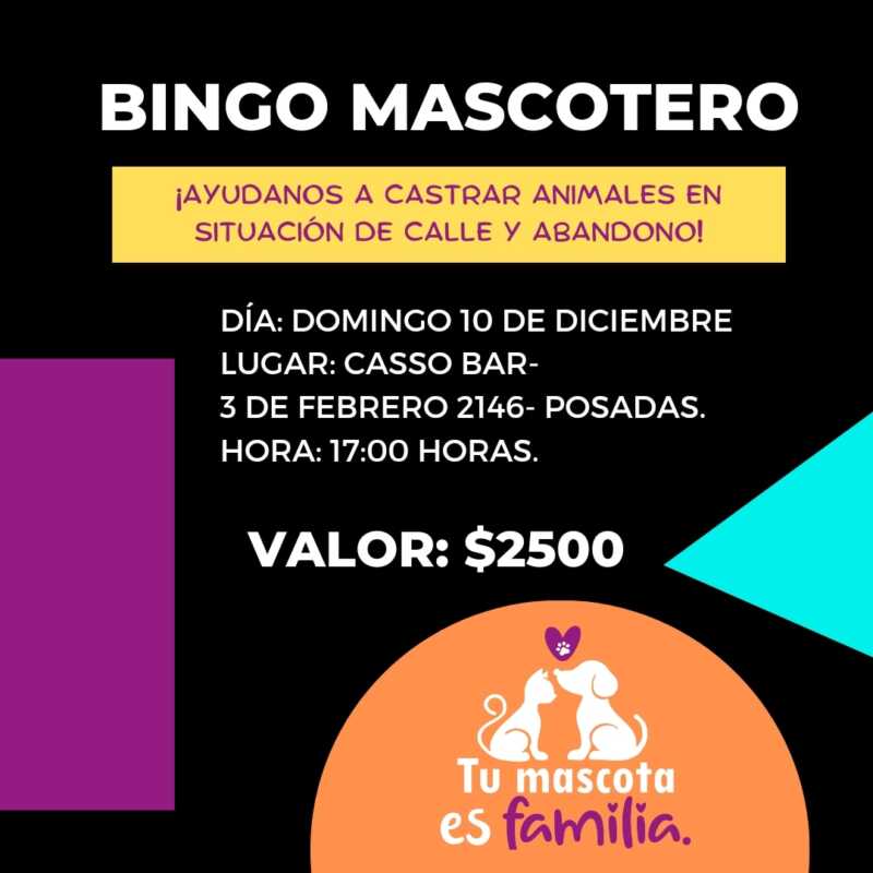 Posadas: realizarán un Bingo Mascotero para llegar a las 300 castraciones de animales en situación de calle 1 WhatsApp Image 2023 12 05 at 09.43.11 2